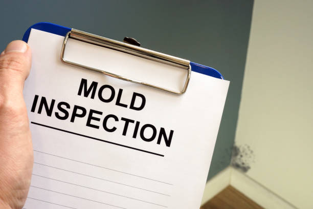 Trusted Danville, KY Mold Removal Experts